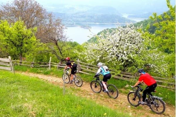 mountain biking on Tara