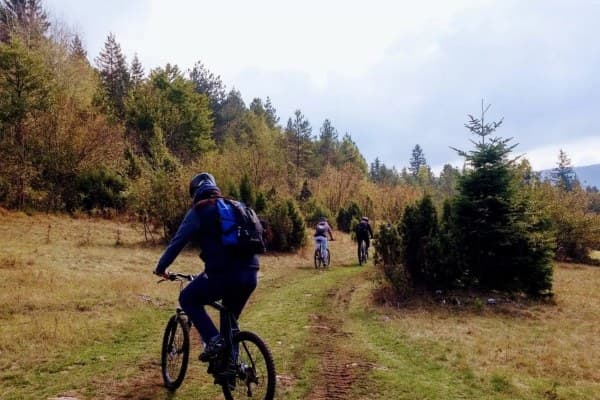 Mountain Biking on Tara 3