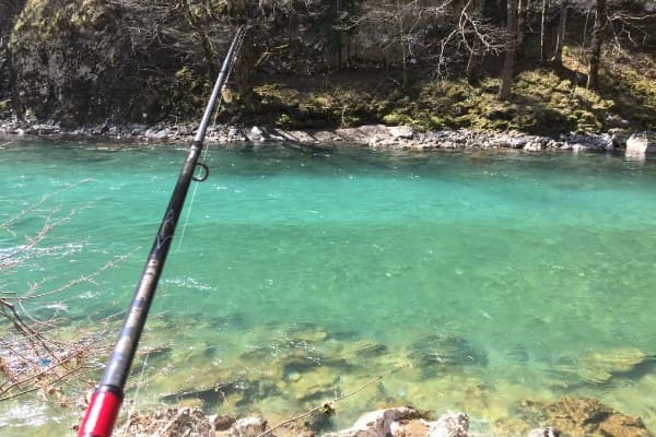 Fishing on the Tara River 3