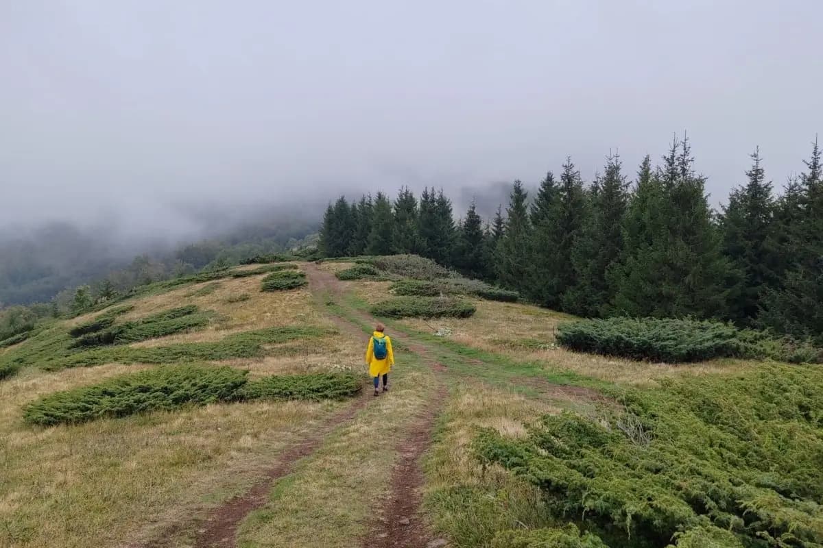 Planinarenje Stara planina 4