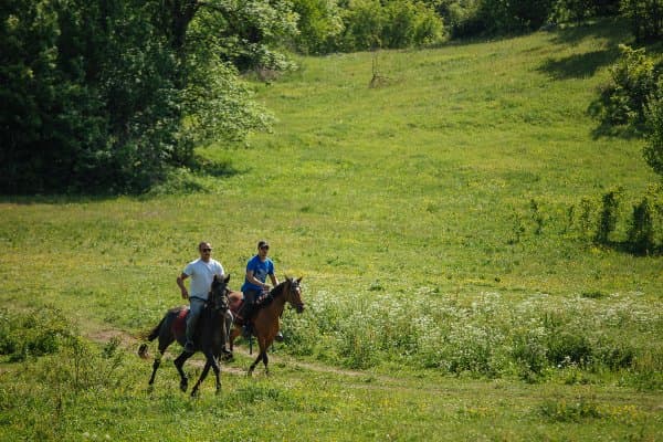 horse riding on Tara mountain 3