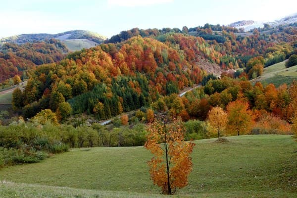 Kopaonik National Park 2