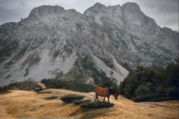 Planina Komovi Montenegro 3