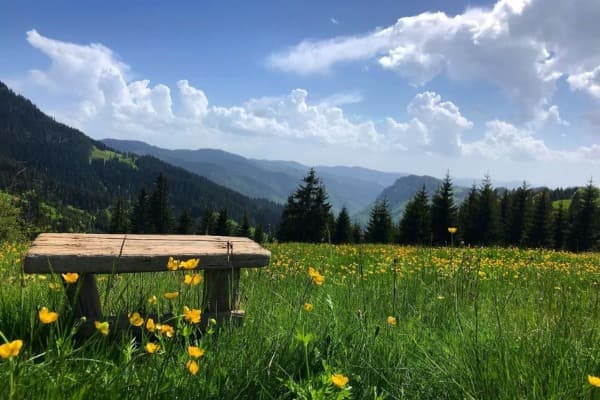 Planina Lokve Montenegro 2